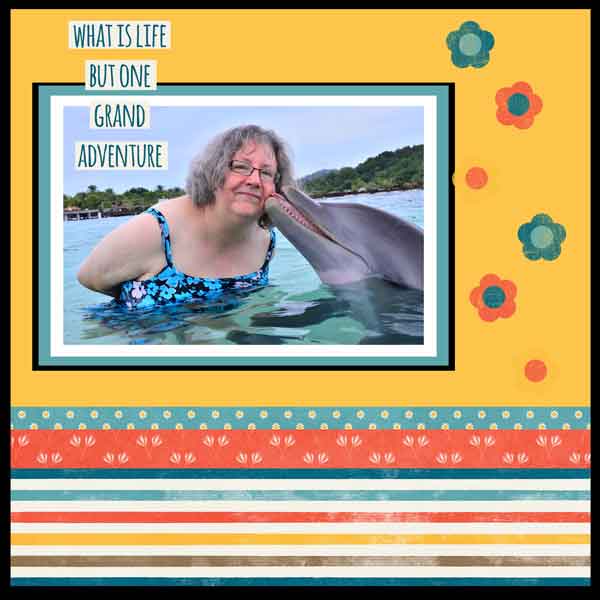 Dolphin Encounter