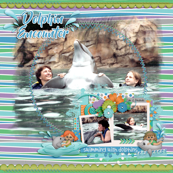 Dolphin Encounter