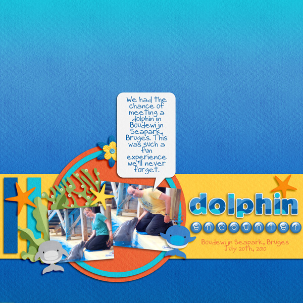 Dolphin encounter