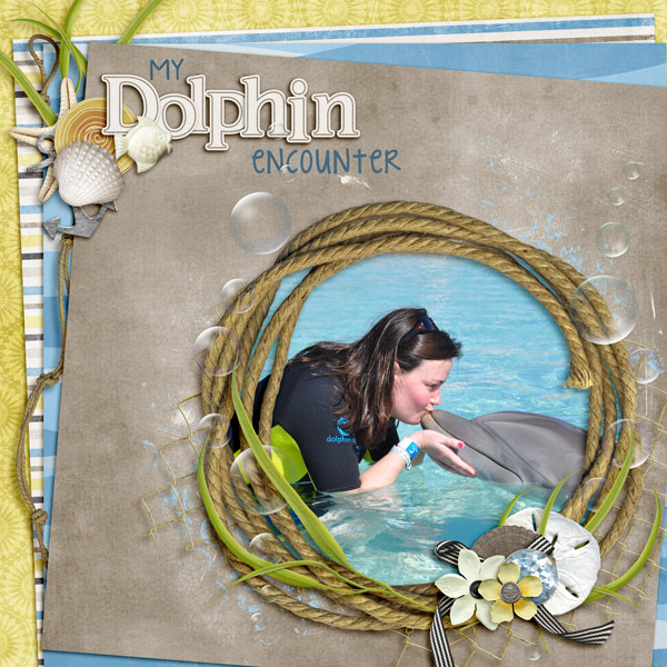 Dolphin Encounter