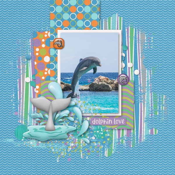Dolphin Love