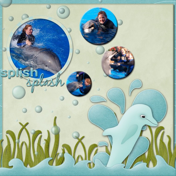 Dolphin Play