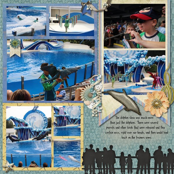 Dolphin Show