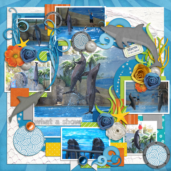 Dolphin Show
