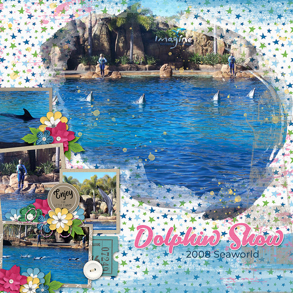 Dolphin Show