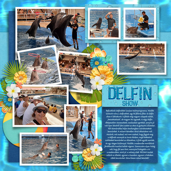 Dolphin-show