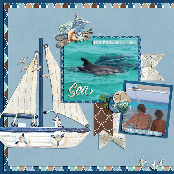 dolphin sighting