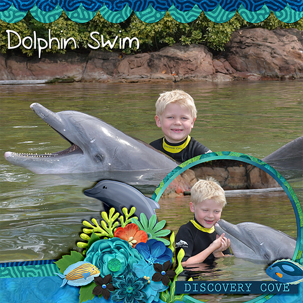 dolphin-swim-923