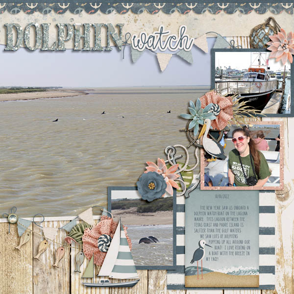 Dolphin Watch