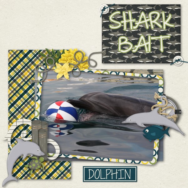 Dolphin