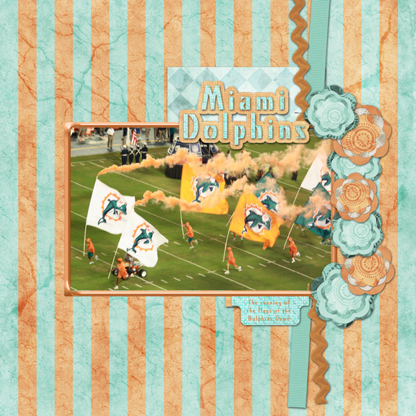Dolphins Game