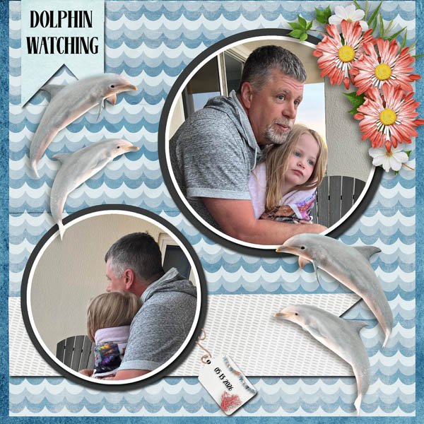 Dolphins.jpg