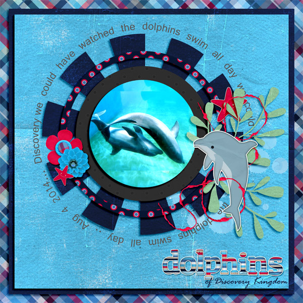 Dolphins of Discovery Kingdom