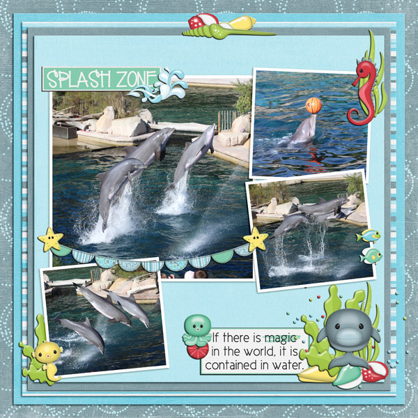 dolphins