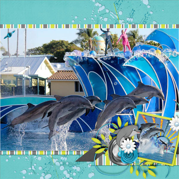 Dolphins!