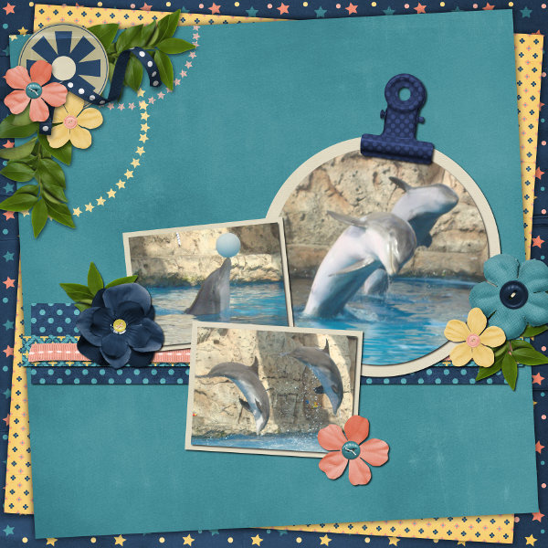dolphins
