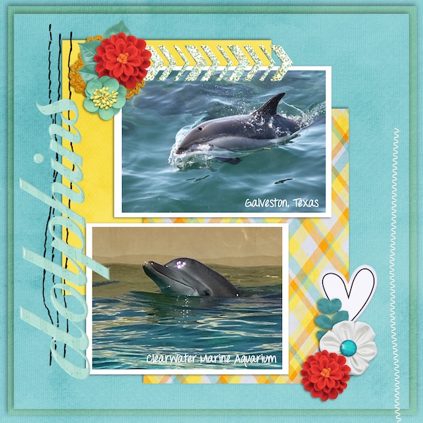 Dolphins