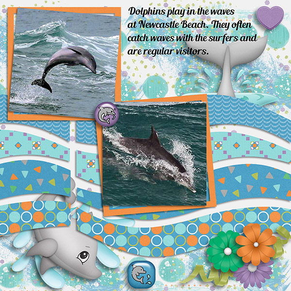 Dolphins