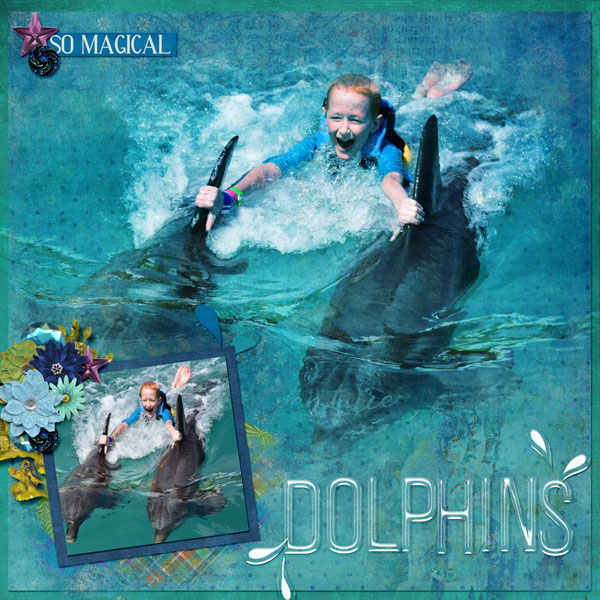 Dolphins