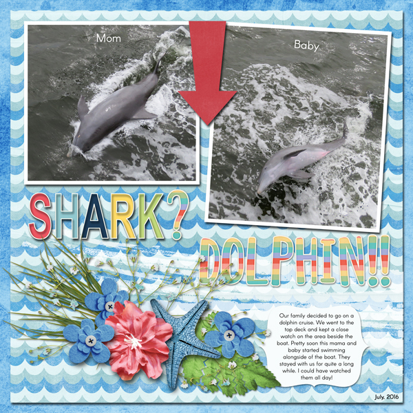 Dolphins