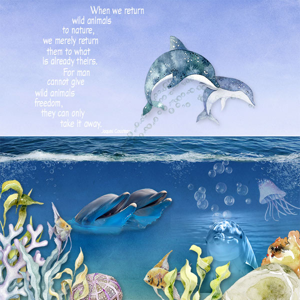Dolphins