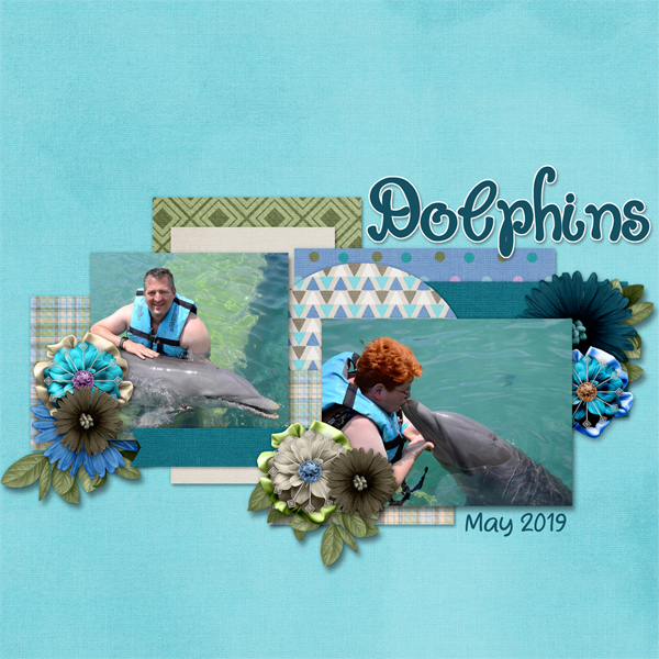Dolphins