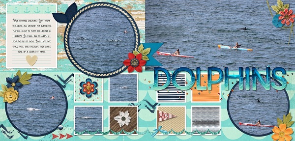 dolphins1