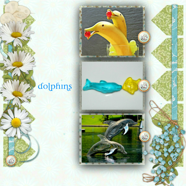 Dolphins2