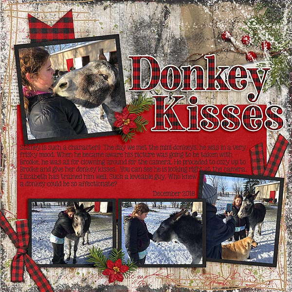 Donkey Kisses