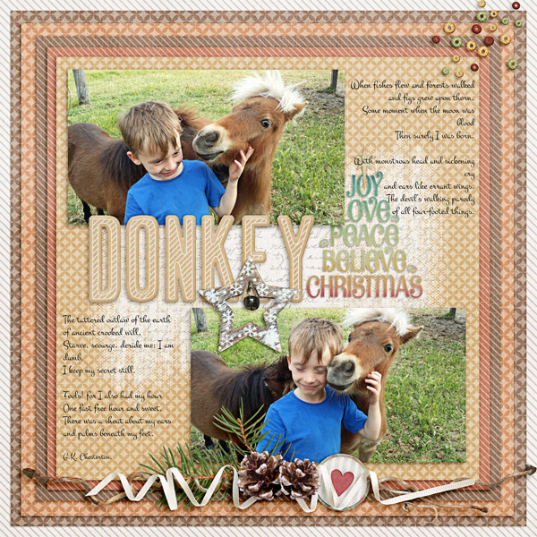 Donkey