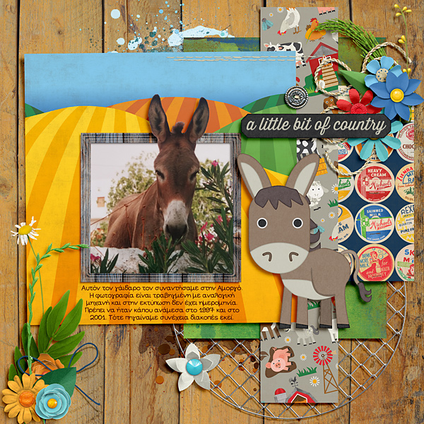 Donkey