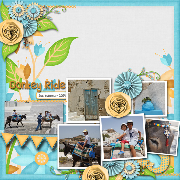 donkeyride