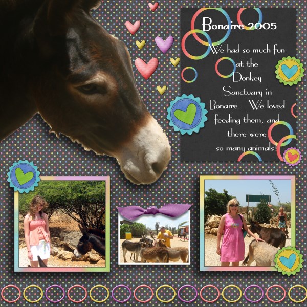 Donkeys