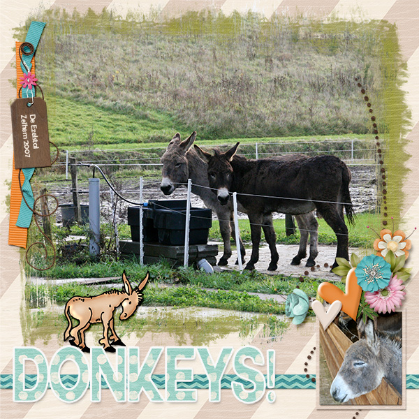 Donkeys