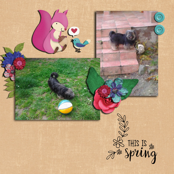 Donna in spring