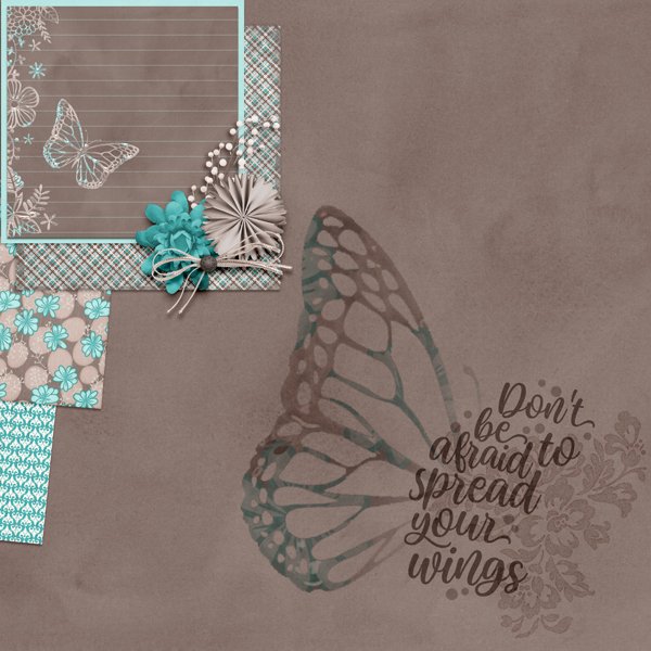 don't-be-afraid-to-spread-your-wings.jpg