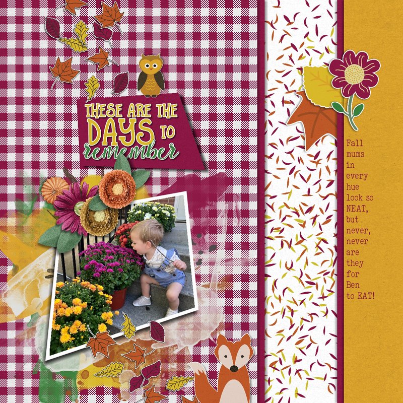 Don't Eat the Mums.jpg