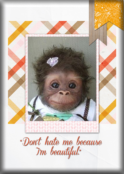 Don't Hate Me...