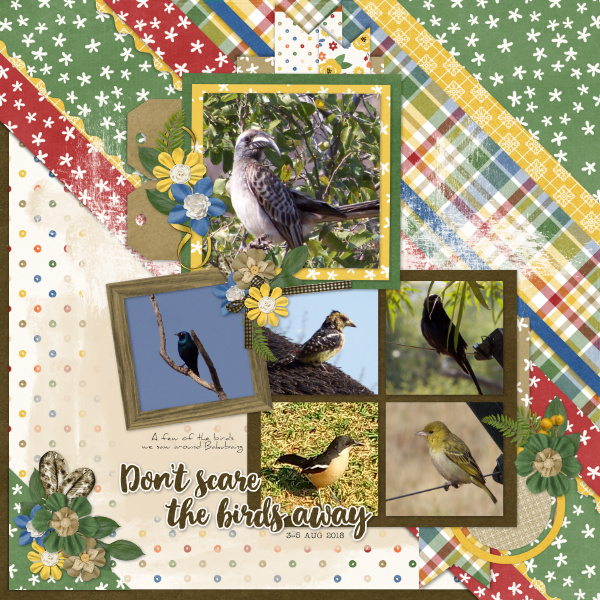 Don't Scare The Birds