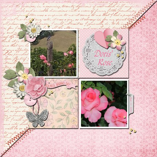 Doris' Rose