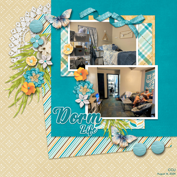 Dorm Life