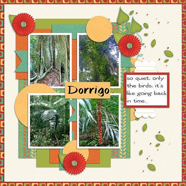 Dorrigo