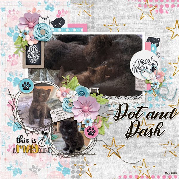 Dot and Dash