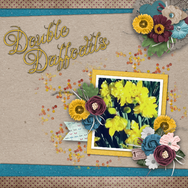 Double Daffodil