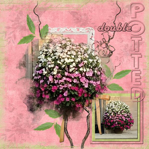 Double Potted