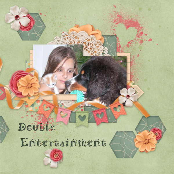 DoubleEnterainment
