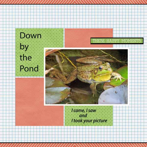 Down by the Pond