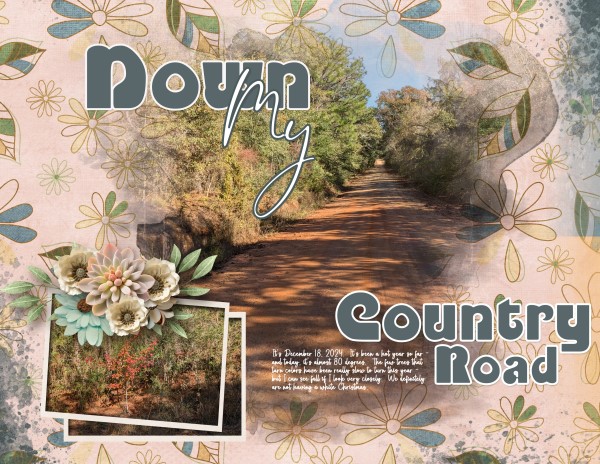 Down My Country Road