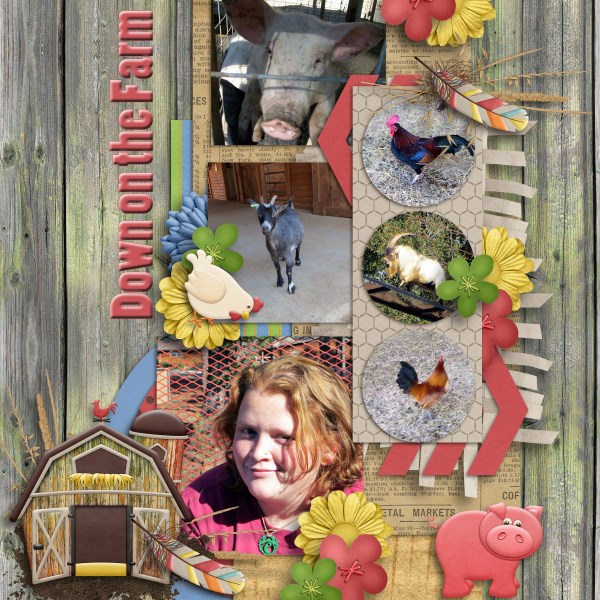 Down on the Farm