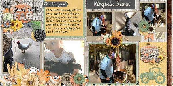 Down on The Farm